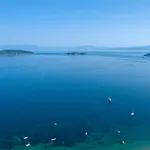 K *